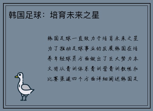 韩国足球：培育未来之星
